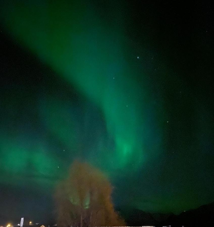 Lyngen, Mackay Appartment, Lyngen Lyngseidet Εξωτερικό φωτογραφία