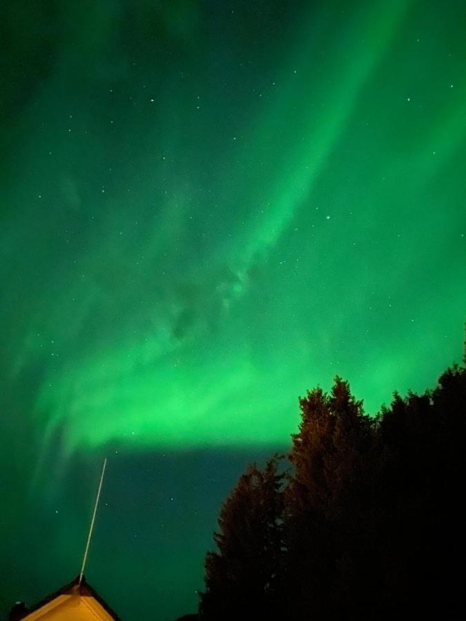 Lyngen, Mackay Appartment, Lyngen Lyngseidet Εξωτερικό φωτογραφία