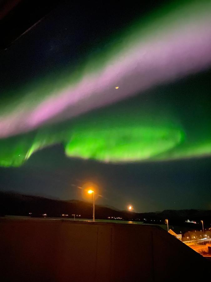 Lyngen, Mackay Appartment, Lyngen Lyngseidet Εξωτερικό φωτογραφία
