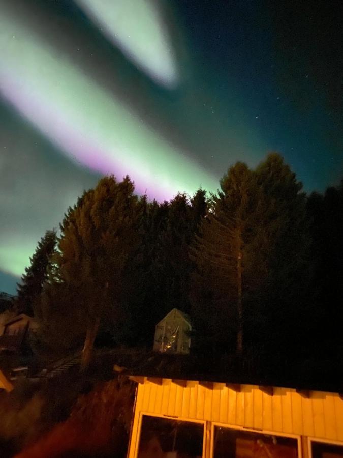 Lyngen, Mackay Appartment, Lyngen Lyngseidet Εξωτερικό φωτογραφία
